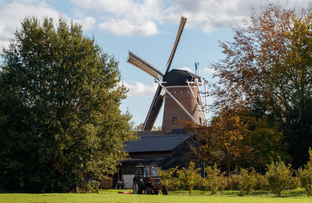 Een rietlook dak zonder gedoe past verrassend goed bij Millingen
