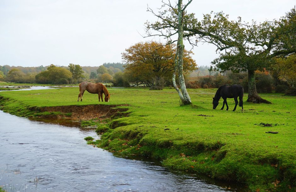 Wat trek je aan voor een wandeling in de Millingerwaard bij 6 graden en wind in november?