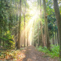 De Gelderse Poort vanuit Millingen verkennen: tips voor een dag in het natuurgebied